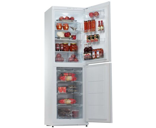 Холодильник Snaige RF35SM-S0002F, изображение 2 Холодильник Snaige RF35SM-S0002F, изображение 2