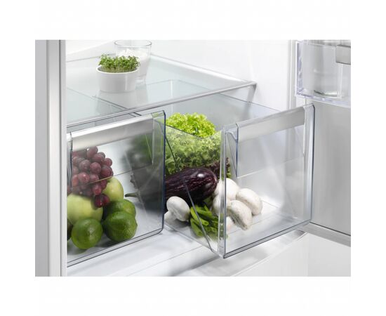 Холодильник Electrolux RNT6TF18S1, изображение 4 Холодильник Electrolux RNT6TF18S1, изображение 4