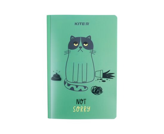 Блокнот Kite А5+ 40 аркушів, Sorry cat (K22-460-2)