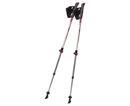 Палки для скандинавської ходи Tramp Compact пара (TRR-004)