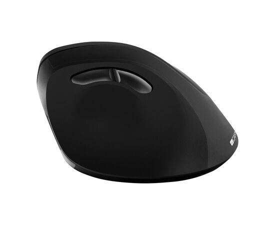 Мишка Canyon CNS-CMSW16B Wireless Black (CNS-CMSW16B), зображення 3 Мишка Canyon CNS-CMSW16B Wireless Black (CNS-CMSW16B), зображення 3