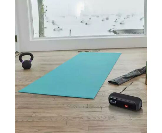Акустична система JBL Tuner 2 FM Black (JBLTUNER2BLK), зображення 8 Акустична система JBL Tuner 2 FM Black (JBLTUNER2BLK), зображення 8