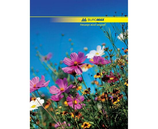 Канцелярська книга А4, 96с, NATURE Buromax (BM.2400)