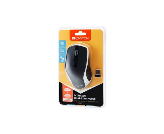 Мышка Canyon CNS-CMSW19B Wireless Silent Black -Silver (CNS-CMSW19B), изображение 5 Мышка Canyon CNS-CMSW19B Wireless Silent Black -Silver (CNS-CMSW19B), изображение 5