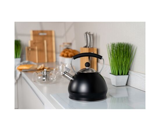 Чайник Ardesto Black Mars 3 л (AR0748KS), зображення 2