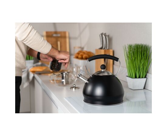 Чайник Ardesto Black Mars 3 л (AR0748KS), зображення 3