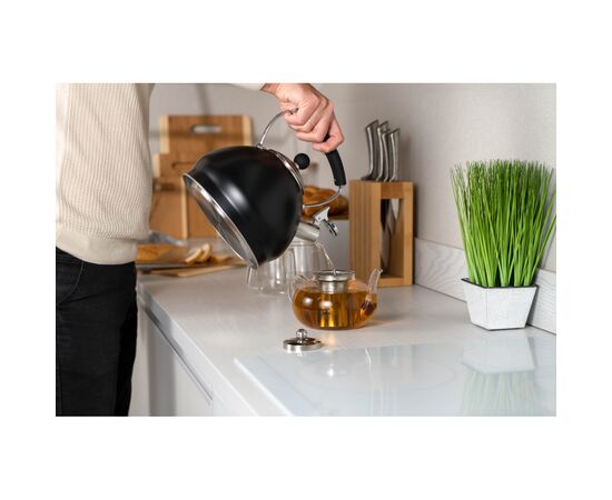 Чайник Ardesto Black Mars 3 л (AR0748KS), зображення 4