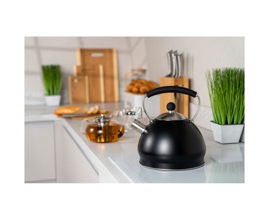 Чайник Ardesto Black Mars 3 л (AR0748KS), зображення 5
