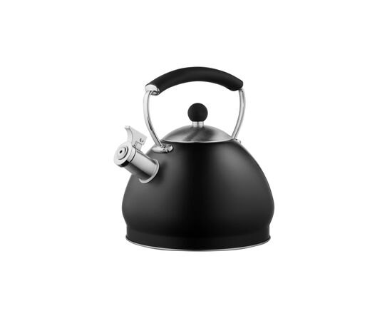 Чайник Ardesto Black Mars 3 л (AR0748KS)