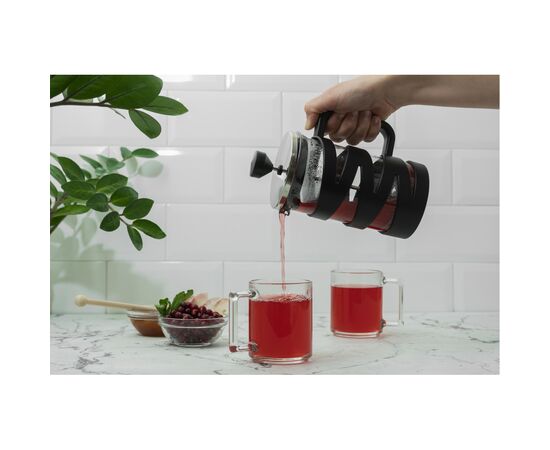Френч-пресс Ardesto Gemini 600 мл (AR1906BG), изображение 3