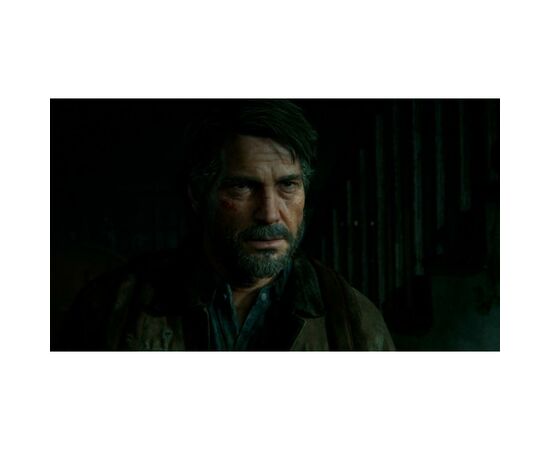 Гра Sony The Last of us II [PS4, Russian version] (9702092), зображення 4