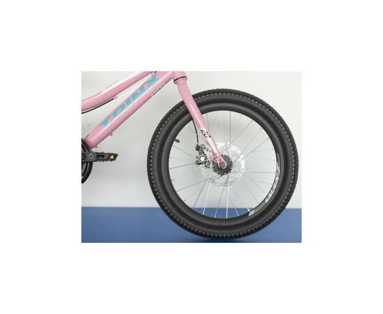 Велосипед Trinx Smart 1.0 20" Pink-White-Blue (Smart 1.0.PWB), изображение 3 Велосипед Trinx Smart 1.0 20" Pink-White-Blue (Smart 1.0.PWB), изображение 3