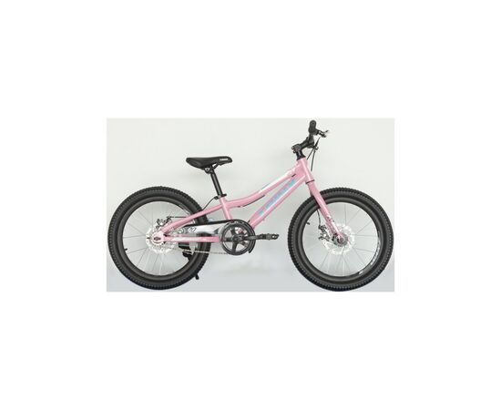 Велосипед Trinx Smart 1.0 20" Pink-White-Blue (Smart 1.0.PWB)