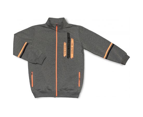 Спортивний костюм Joi JOI SPORT (T-0302-176B-gray), зображення 2 Спортивний костюм Joi JOI SPORT (T-0302-176B-gray), зображення 2