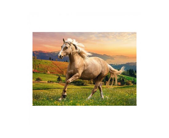 Пазл Trefl Галоп на закате солнца, 500 элементов (6337086), изображение 4 Пазл Trefl Галоп на закате солнца, 500 элементов (6337086), изображение 4