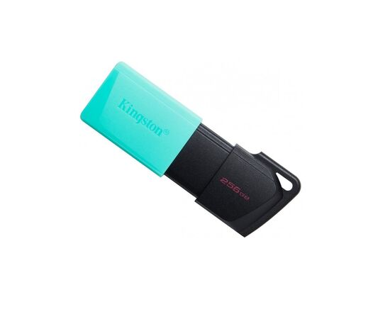 USB флеш накопичувач Kingston 256GB DataTraveler Exodia M USB 3.2 (DTXM/256GB)
