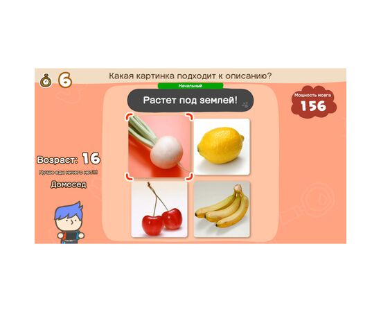 Игра Nintendo Switch Big Brain Academy: Brain vs. Brain (45496429164), изображение 4 Игра Nintendo Switch Big Brain Academy: Brain vs. Brain (45496429164), изображение 4
