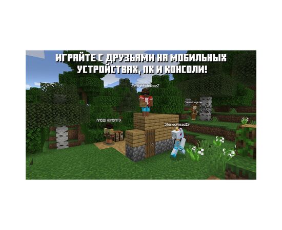 Игра Nintendo Switch Minecraft (045496420628), изображение 6 Игра Nintendo Switch Minecraft (045496420628), изображение 6
