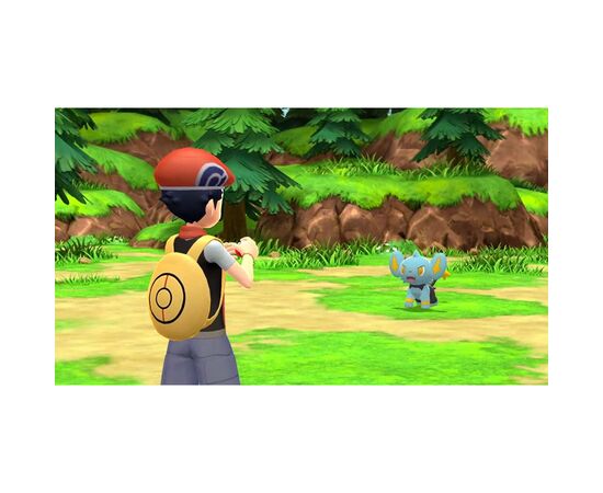 Игра Nintendo Switch Pokemon Brilliant Diamond (45496428051), изображение 5 Игра Nintendo Switch Pokemon Brilliant Diamond (45496428051), изображение 5
