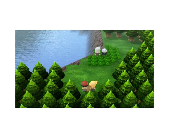 Игра Nintendo Switch Pokemon Brilliant Diamond (45496428051), изображение 9 Игра Nintendo Switch Pokemon Brilliant Diamond (45496428051), изображение 9