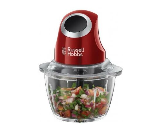 Подрібнювач Russell Hobbs Desire (24660-56)