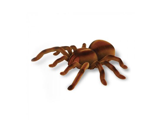 Радіокерована іграшка Best Fun Toys Tarantula (6337201)