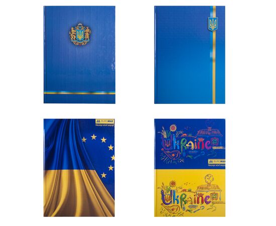 Канцелярська книга Buromax А4 UKRAINE, 96 аркушів, клітинка (BM.2400-38)
