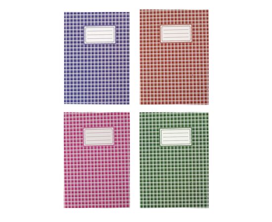 Канцелярська книга Buromax А4 , 48 аркушів, лінія (BM.2451)