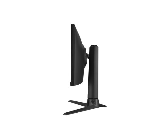 Монитор ASUS XG309CM, изображение 4 Монитор ASUS XG309CM, изображение 4