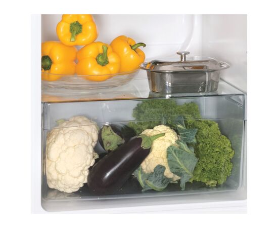 Холодильник Snaige R13SM-PRR50F, изображение 4 Холодильник Snaige R13SM-PRR50F, изображение 4