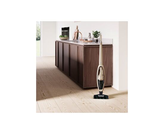 Пылесос Electrolux WQ71-P52SS, изображение 5 Пылесос Electrolux WQ71-P52SS, изображение 5