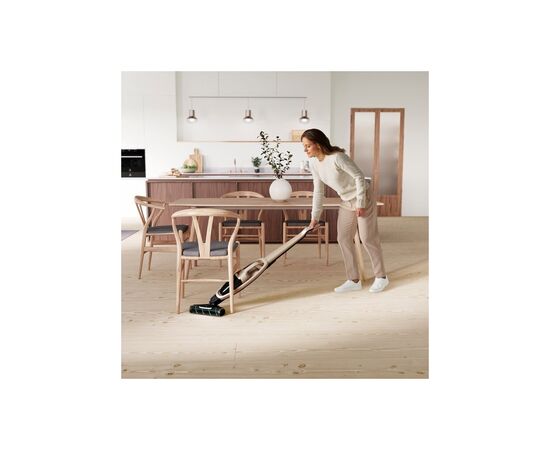Пылесос Electrolux WQ71-P52SS, изображение 7 Пылесос Electrolux WQ71-P52SS, изображение 7