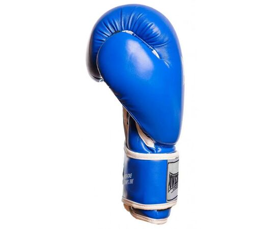 Боксерские перчатки PowerPlay 3019 10oz Blue (PP_3019_10oz_Blue), изображение 2