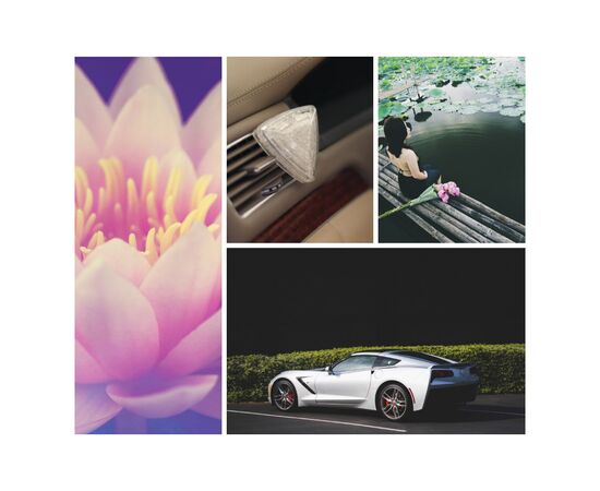 Ароматизатор для автомобиля K2 IAMO LOTUS 15гр (V88LOT), изображение 4 Ароматизатор для автомобиля K2 IAMO LOTUS 15гр (V88LOT), изображение 4