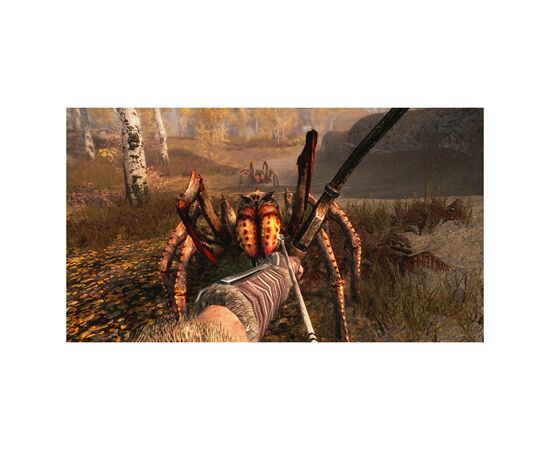 Игра Nintendo Switch The Elder Scrolls V: Skyrim (1014264), изображение 3 Игра Nintendo Switch The Elder Scrolls V: Skyrim (1014264), изображение 3