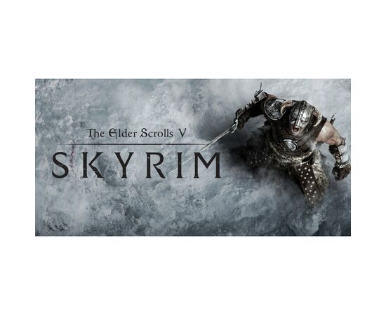 Игра Nintendo Switch The Elder Scrolls V: Skyrim (1014264)