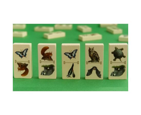 Настільна гра Capstone Games Renature (Розквіт), англійська (5060226932955), зображення 3