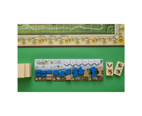 Настільна гра Capstone Games Renature (Розквіт), англійська (5060226932955), зображення 4