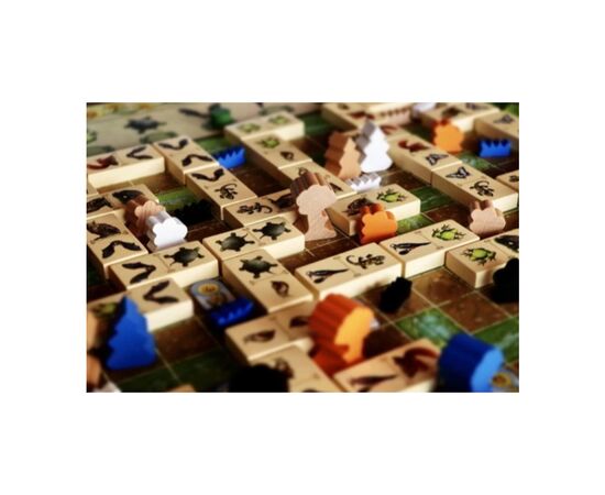 Настільна гра Capstone Games Renature (Розквіт), англійська (5060226932955), зображення 5