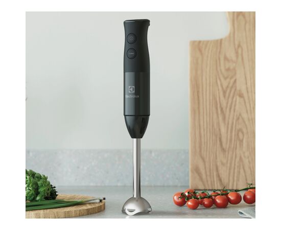 Блендер Electrolux E4HB1-6GG, изображение 7 Блендер Electrolux E4HB1-6GG, изображение 7