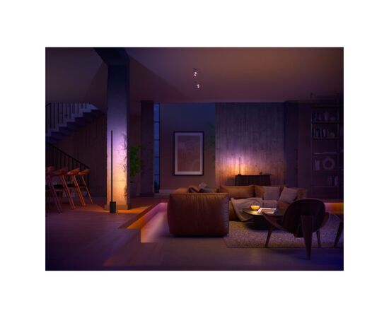 Светильник Philips Hue Signe, 2000K-6500K, RGB, Gradient, ZigBee, димування, 55см, чорний (915005987001), изображение 5 Светильник Philips Hue Signe, 2000K-6500K, RGB, Gradient, ZigBee, димування, 55см, чорний (915005987001), изображение 5