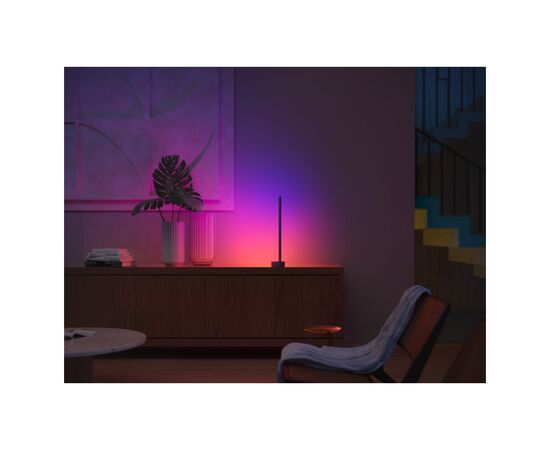 Светильник Philips Hue Signe, 2000K-6500K, RGB, Gradient, ZigBee, димування, 55см, чорний (915005987001), изображение 7 Светильник Philips Hue Signe, 2000K-6500K, RGB, Gradient, ZigBee, димування, 55см, чорний (915005987001), изображение 7