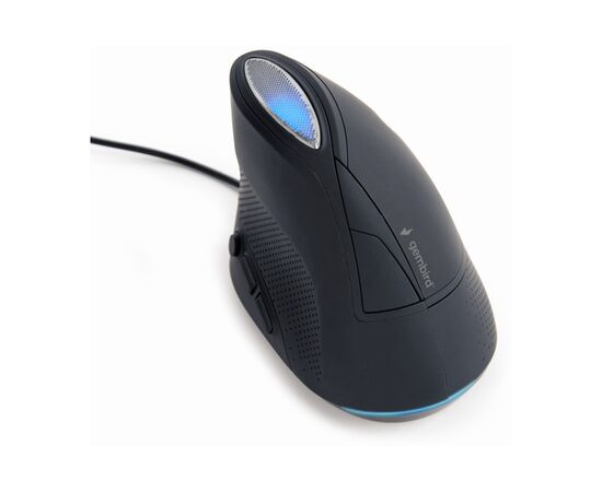 Мышка Gembird MUS-ERGO-03 USB Black (MUS-ERGO-03), изображение 2 Мышка Gembird MUS-ERGO-03 USB Black (MUS-ERGO-03), изображение 2