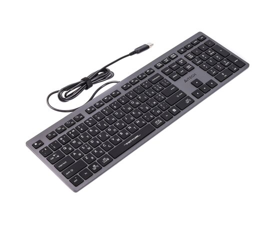 Клавіатура A4Tech FX-50 USB Grey, зображення 2 Клавіатура A4Tech FX-50 USB Grey, зображення 2