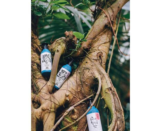 Шампунь Yope Guaiac Tree 300 мл (5903760202088), зображення 2 Шампунь Yope Guaiac Tree 300 мл (5903760202088), зображення 2