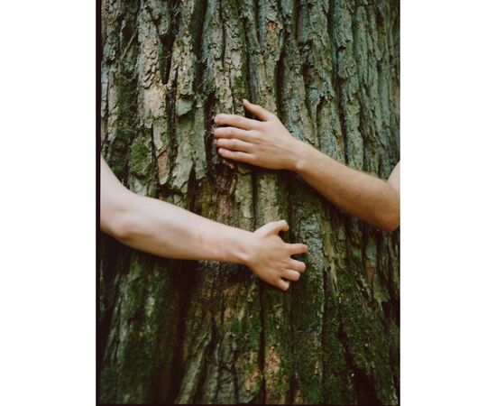 Шампунь Yope Guaiac Tree 300 мл (5903760202088), зображення 3 Шампунь Yope Guaiac Tree 300 мл (5903760202088), зображення 3