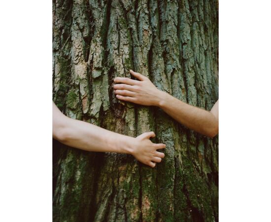 Гель для душа Yope Santal Tree, Saffron and Patchouli 400 мл (5903760202057), изображение 4 Гель для душа Yope Santal Tree, Saffron and Patchouli 400 мл (5903760202057), изображение 4