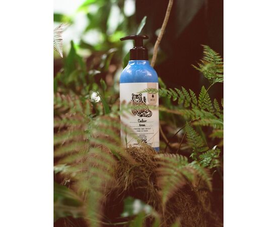 Гель для душа Yope Cedar Tree, Juniper and Chilli 400 мл (5903760202064), изображение 2 Гель для душа Yope Cedar Tree, Juniper and Chilli 400 мл (5903760202064), изображение 2