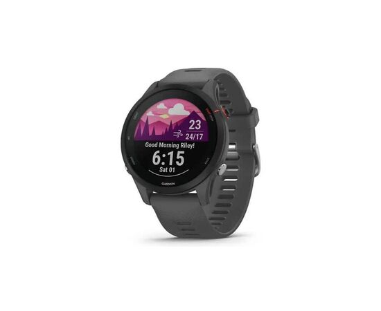 Смарт-часы Garmin Forerunner 255 Basic, Slate Grey, GPS (010-02641-10)