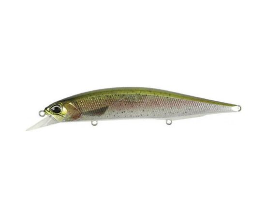 Воблер DUO Realis Jerkbait 120SP Pike 120mm 17.8g CCC3836 Rainbow Trout (34.27.87)